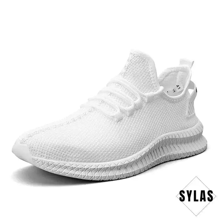Mesh Lightweighters